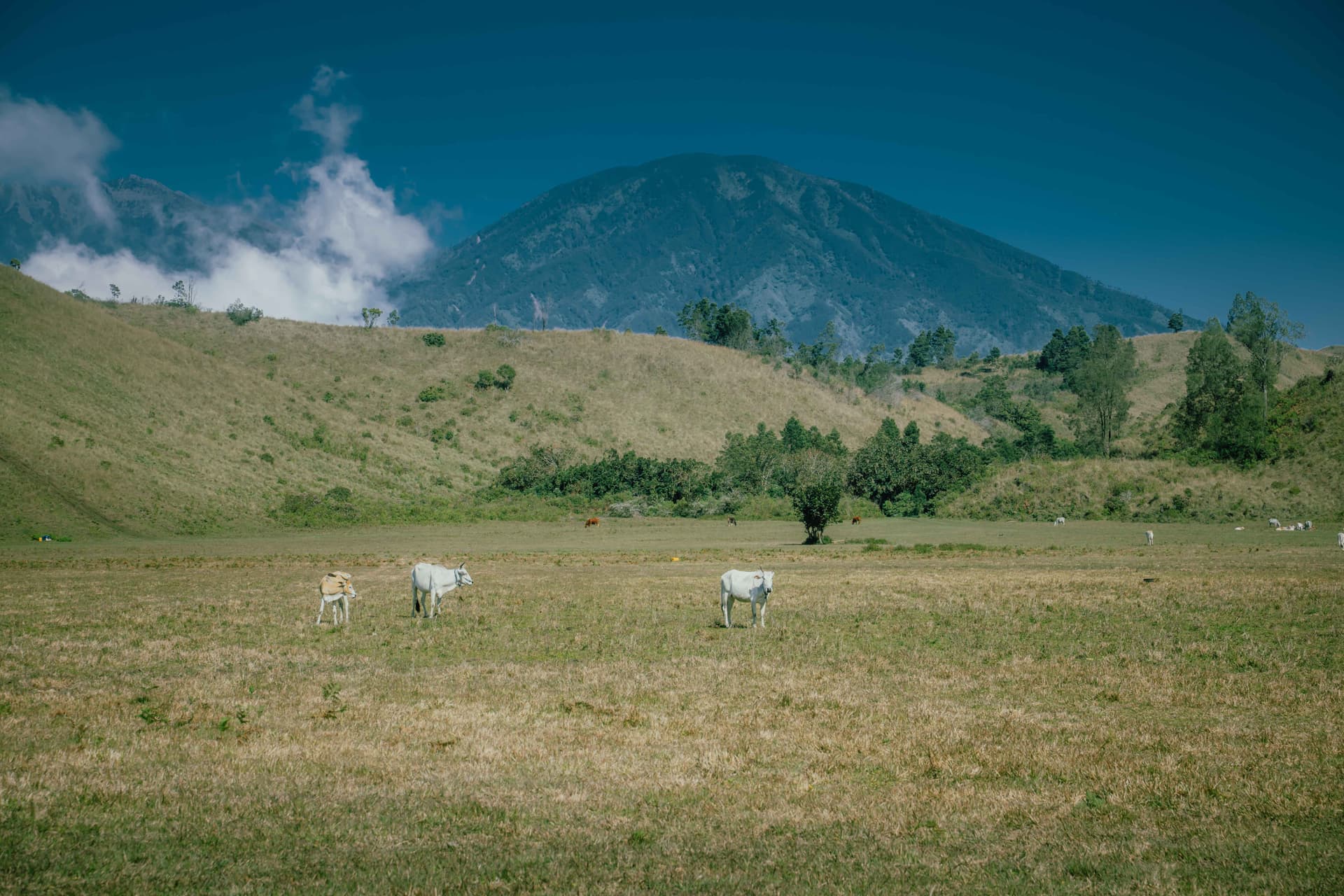 Off-Road Bondowoso: Wurung, Galuh & Free Photographer