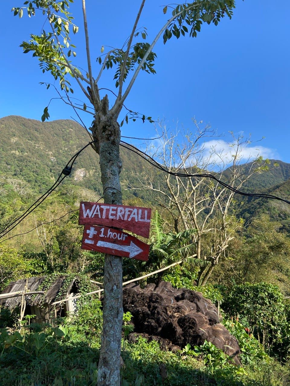 Wae Rebo Village Trek (Overnight)