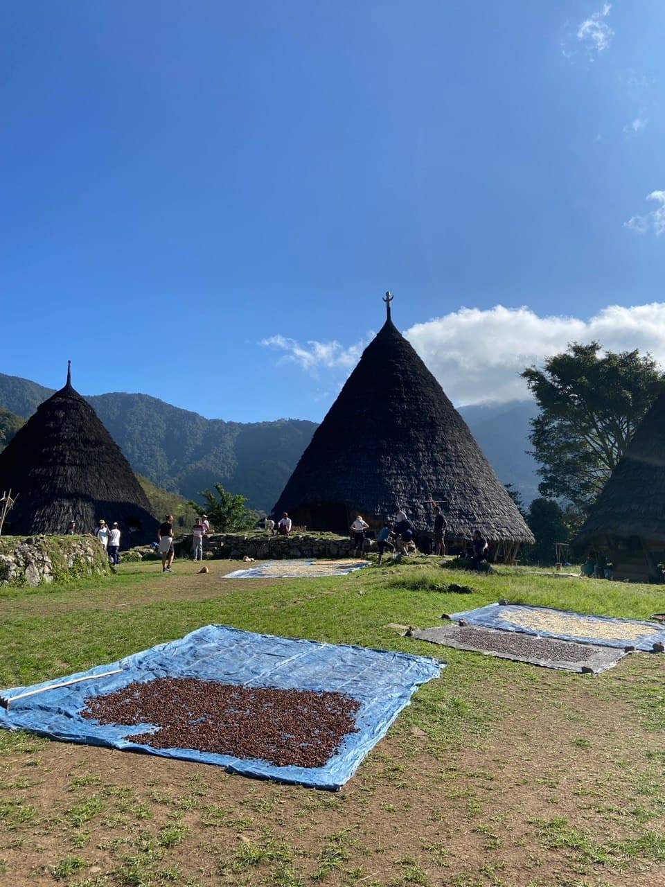 Wae Rebo Village Trek (Overnight)