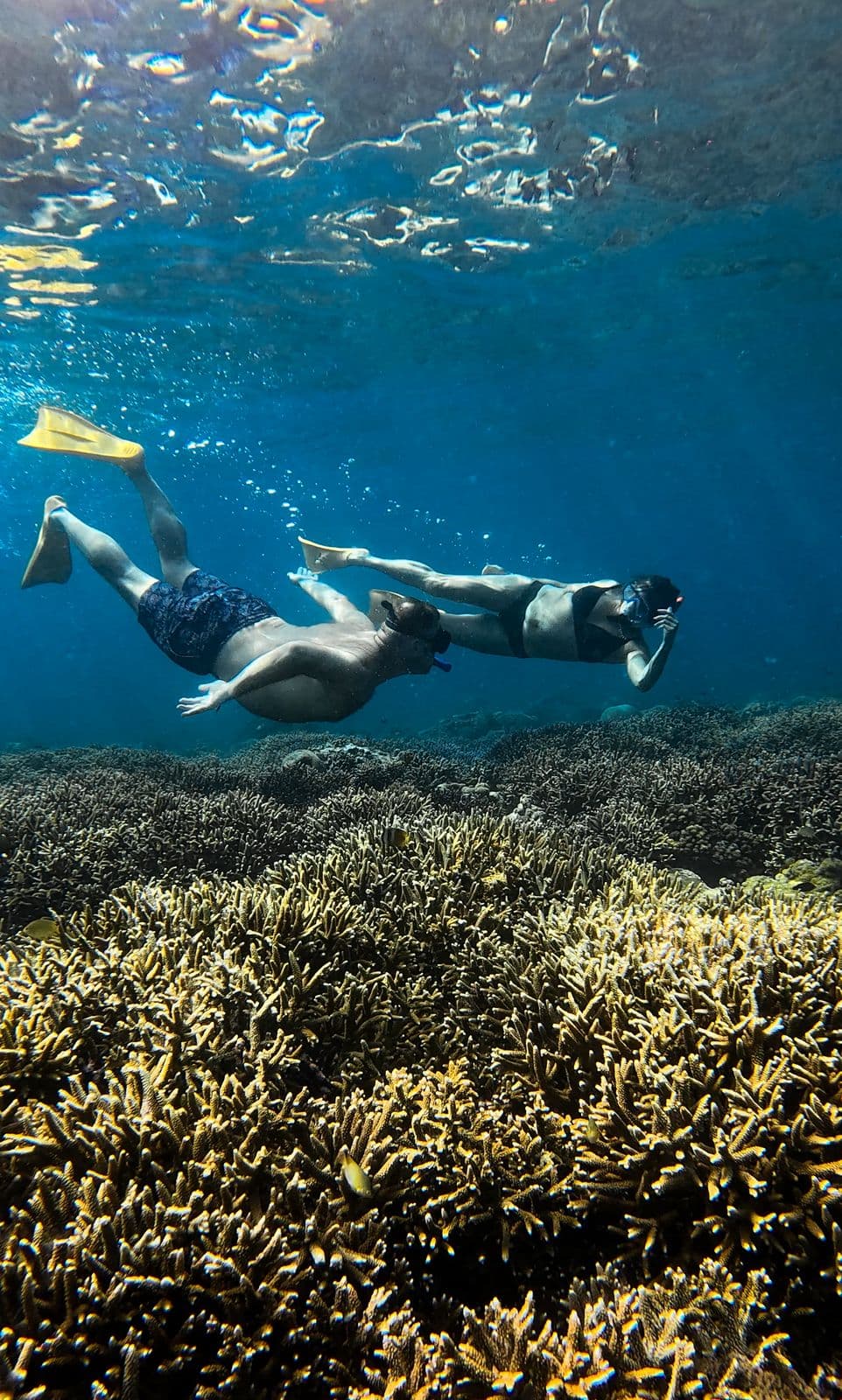 Private Snorkeling Gili Trawangan & Gili Meno from Lombok
