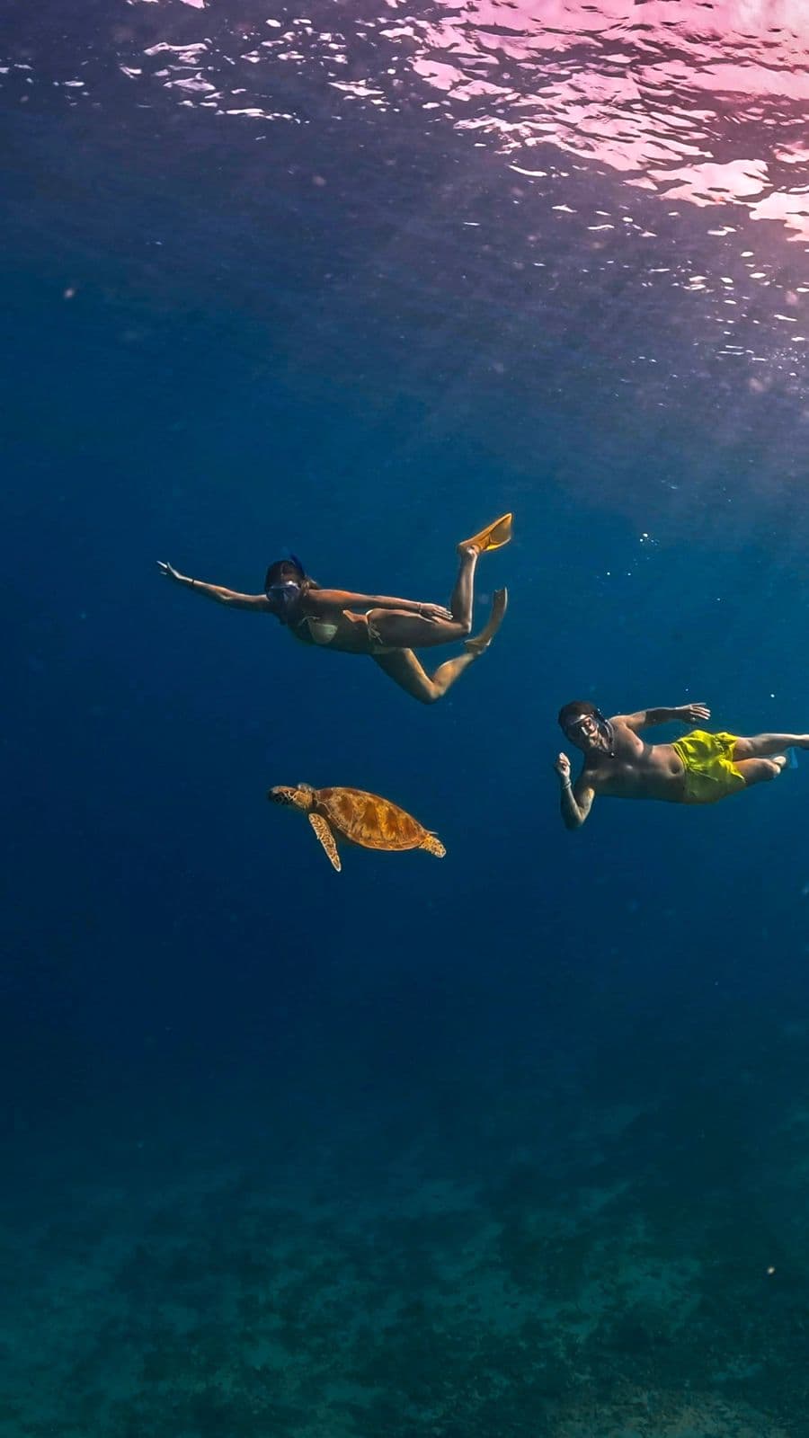 Private Snorkeling Gili Trawangan & Gili Meno from Lombok