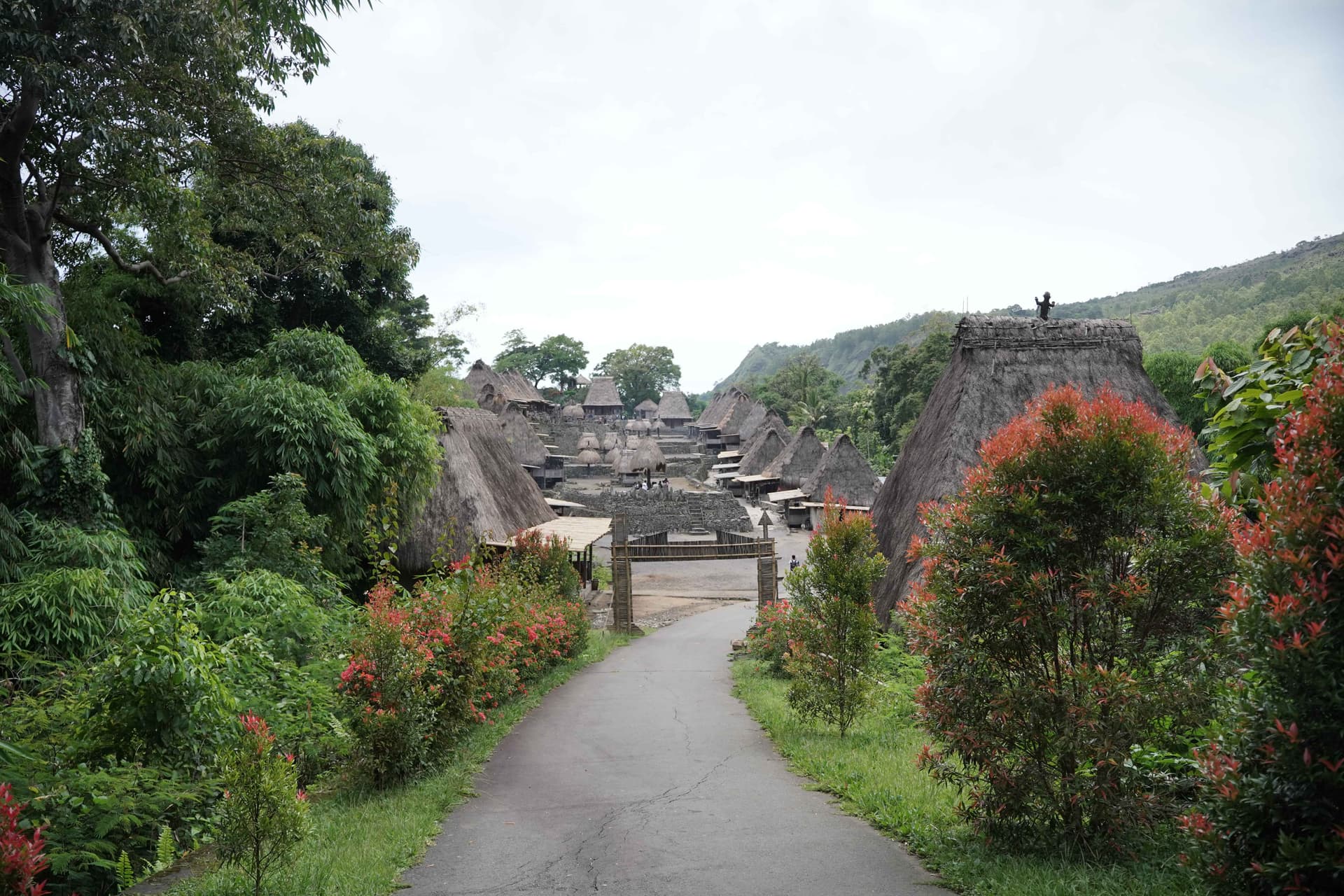 Timeless Bajawa Tour: Explore Cultural Villages & Natural Hot Springs