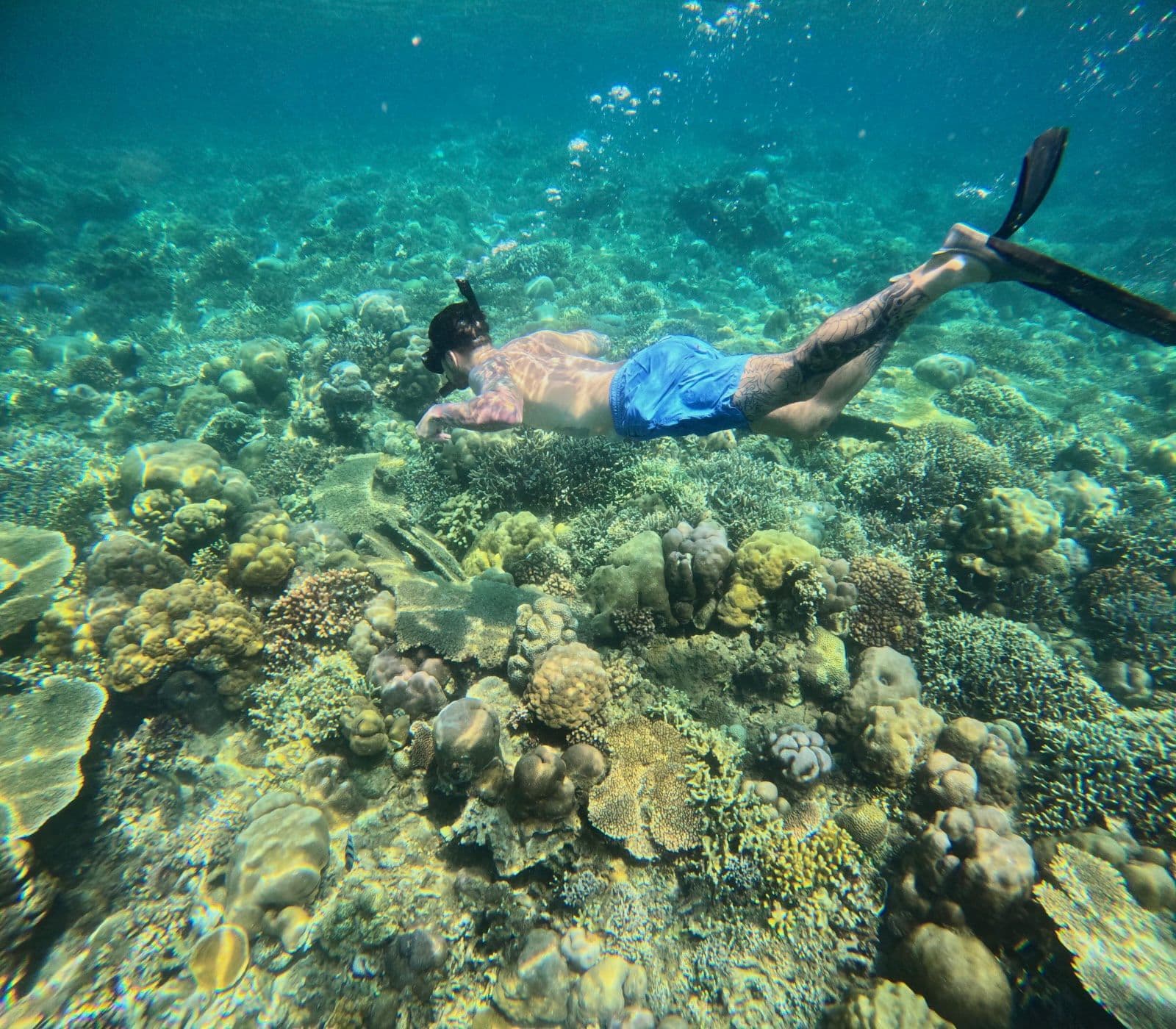 Secret Gili Private Snorkeling: Gili Nanggu, Sudak & Kedis