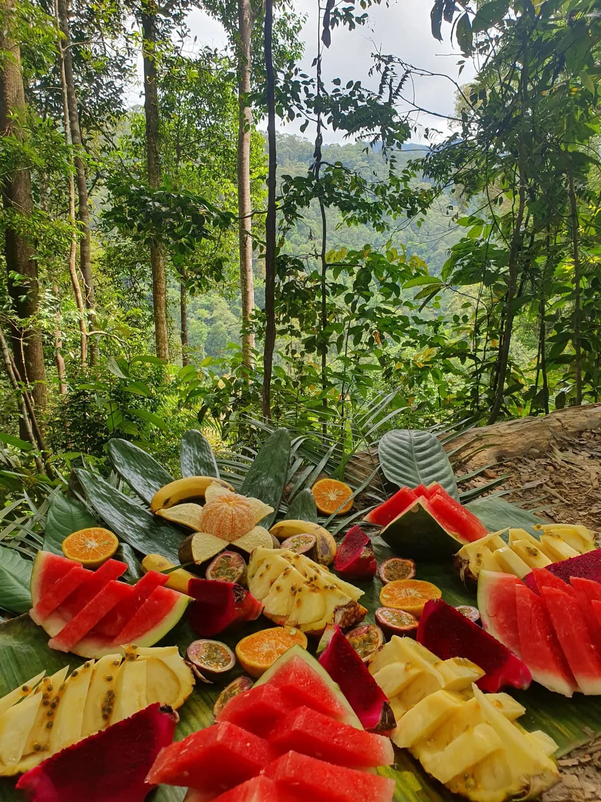 Sumatra's Secret Paradise | 7 Days 6 Nights