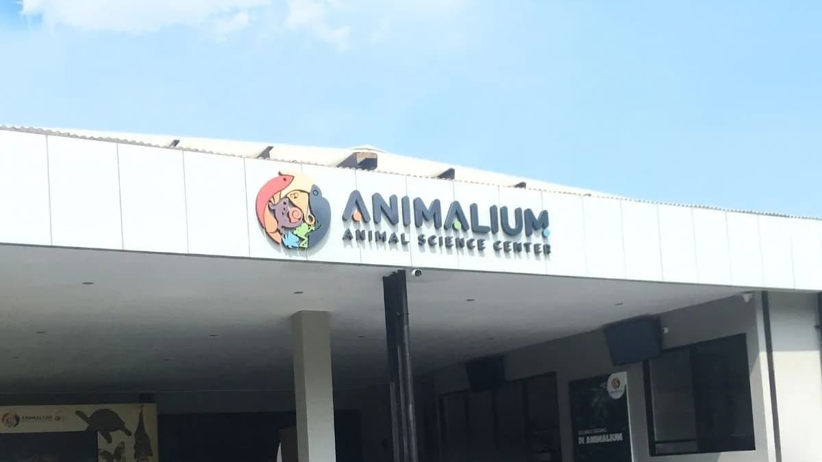 Wildlife Wonders: Animalium BRIN