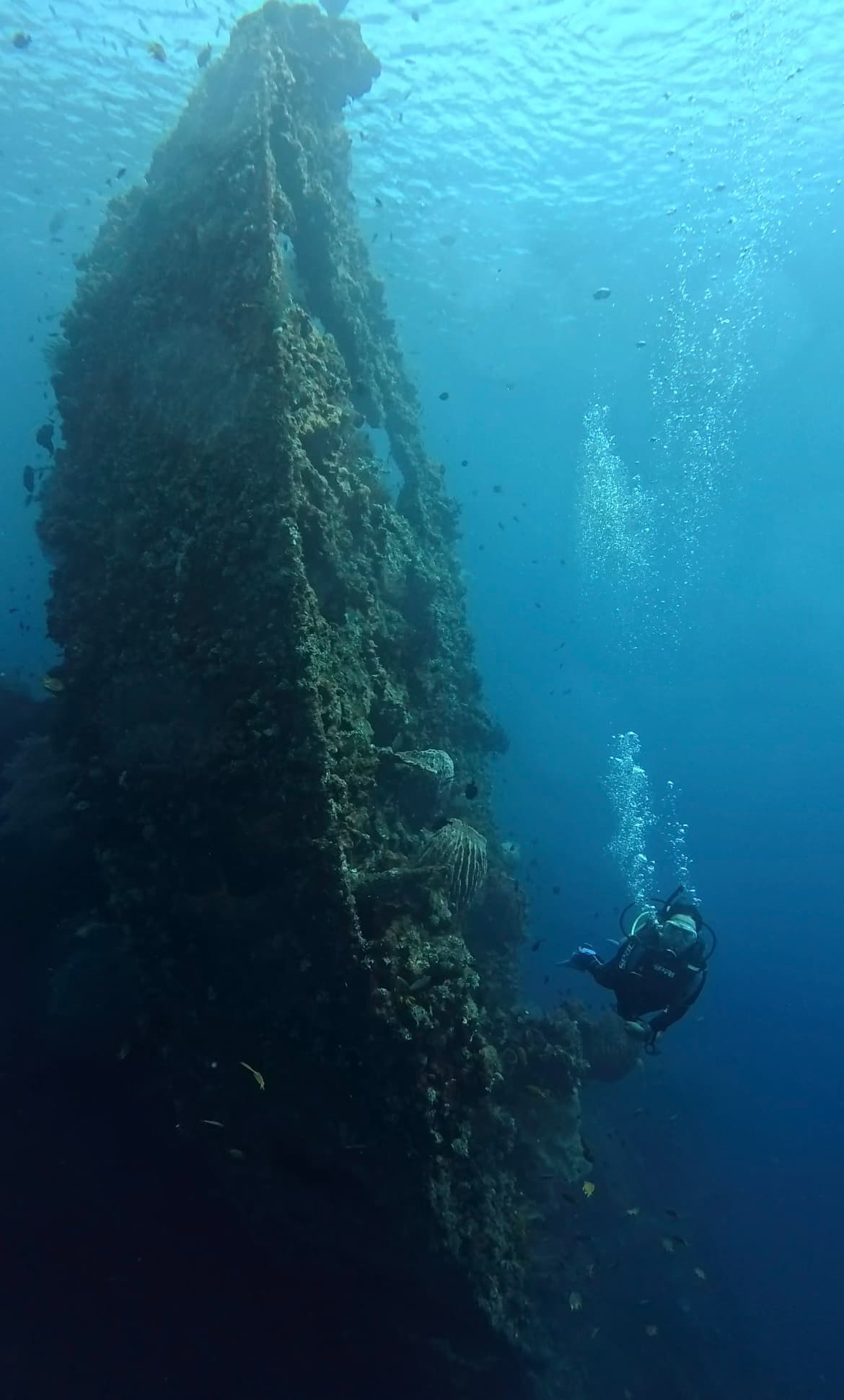 Try Diving in Tulamben for Beginner (Non-Certified)