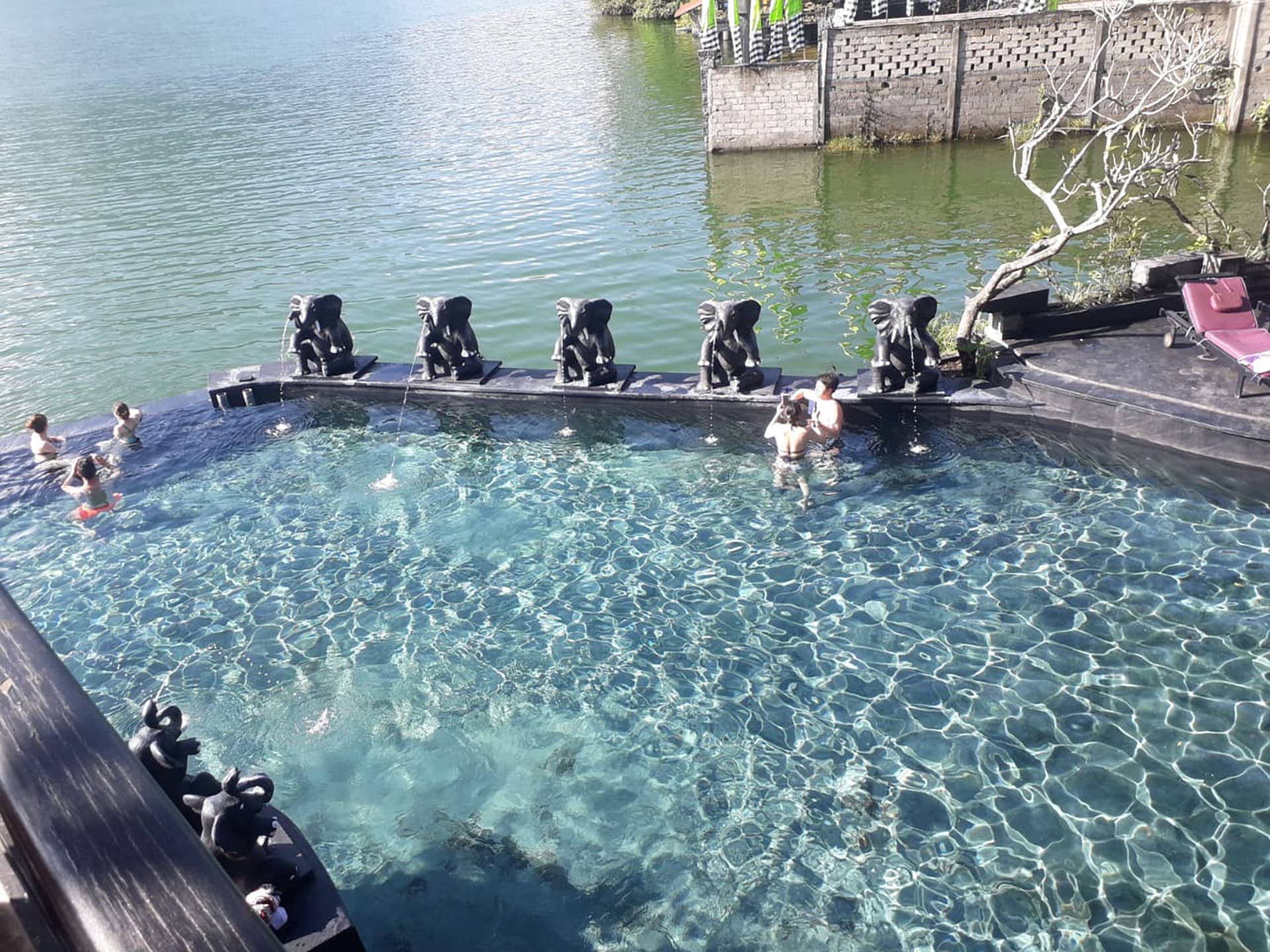Half-day Mt. Batur Trek & Natural Hot Springs with English-speaking guide