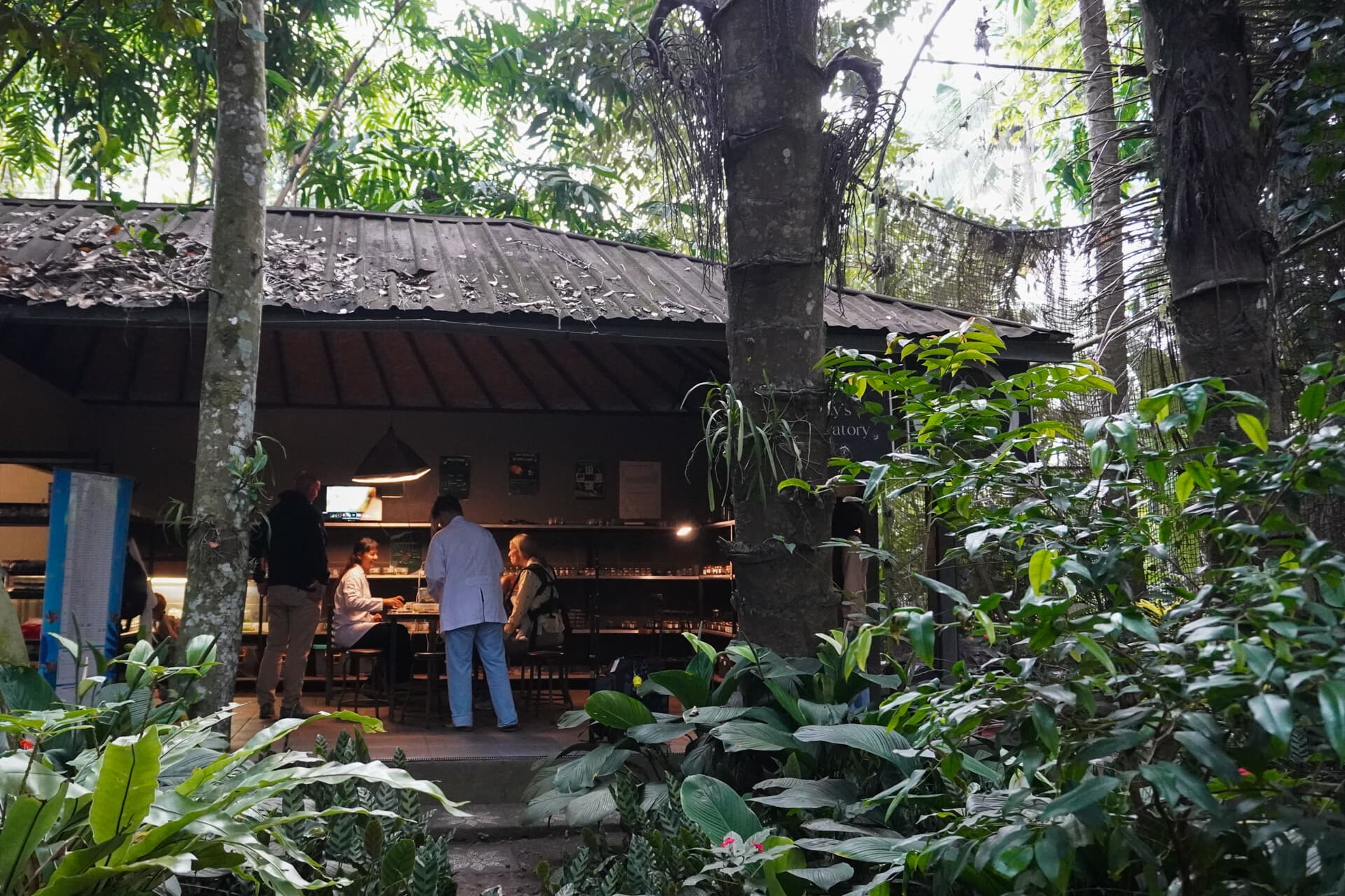 Firefly Conservation Tour - Hiking, Foraging, Cooking & Watching Fireflies