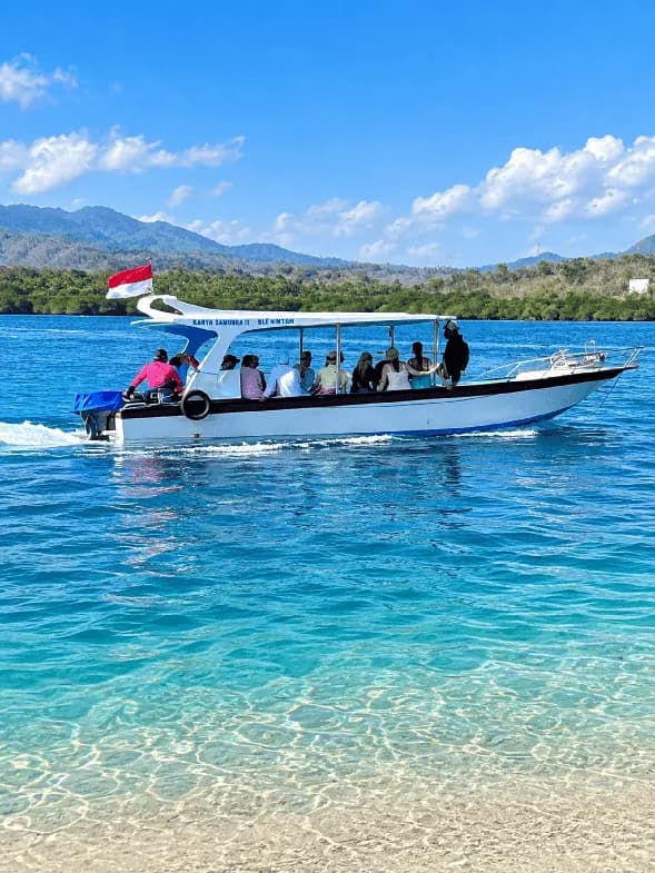 Menjangan Snorkeling with Boat All Inclusive