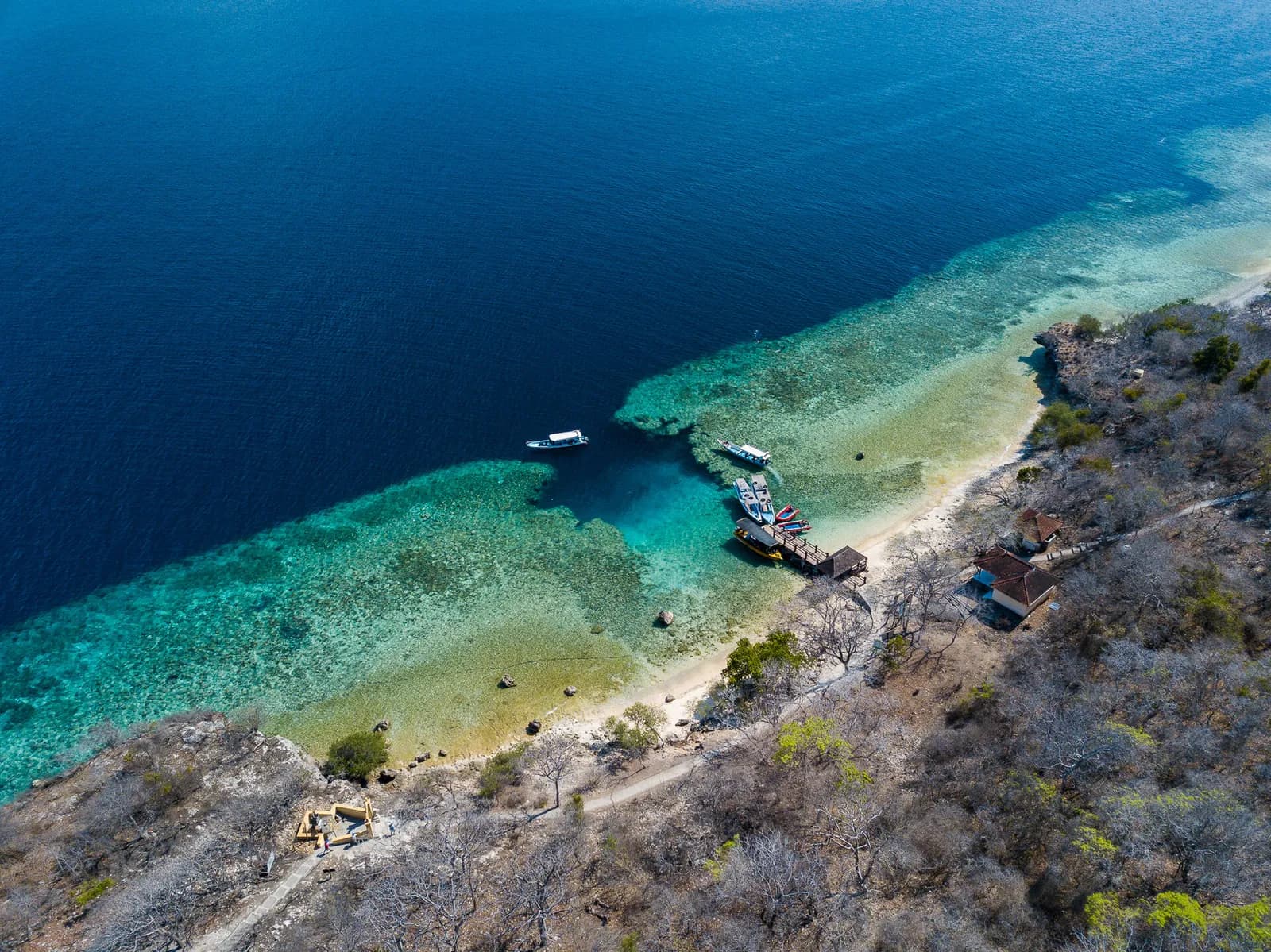 Menjangan Snorkeling with Boat All Inclusive