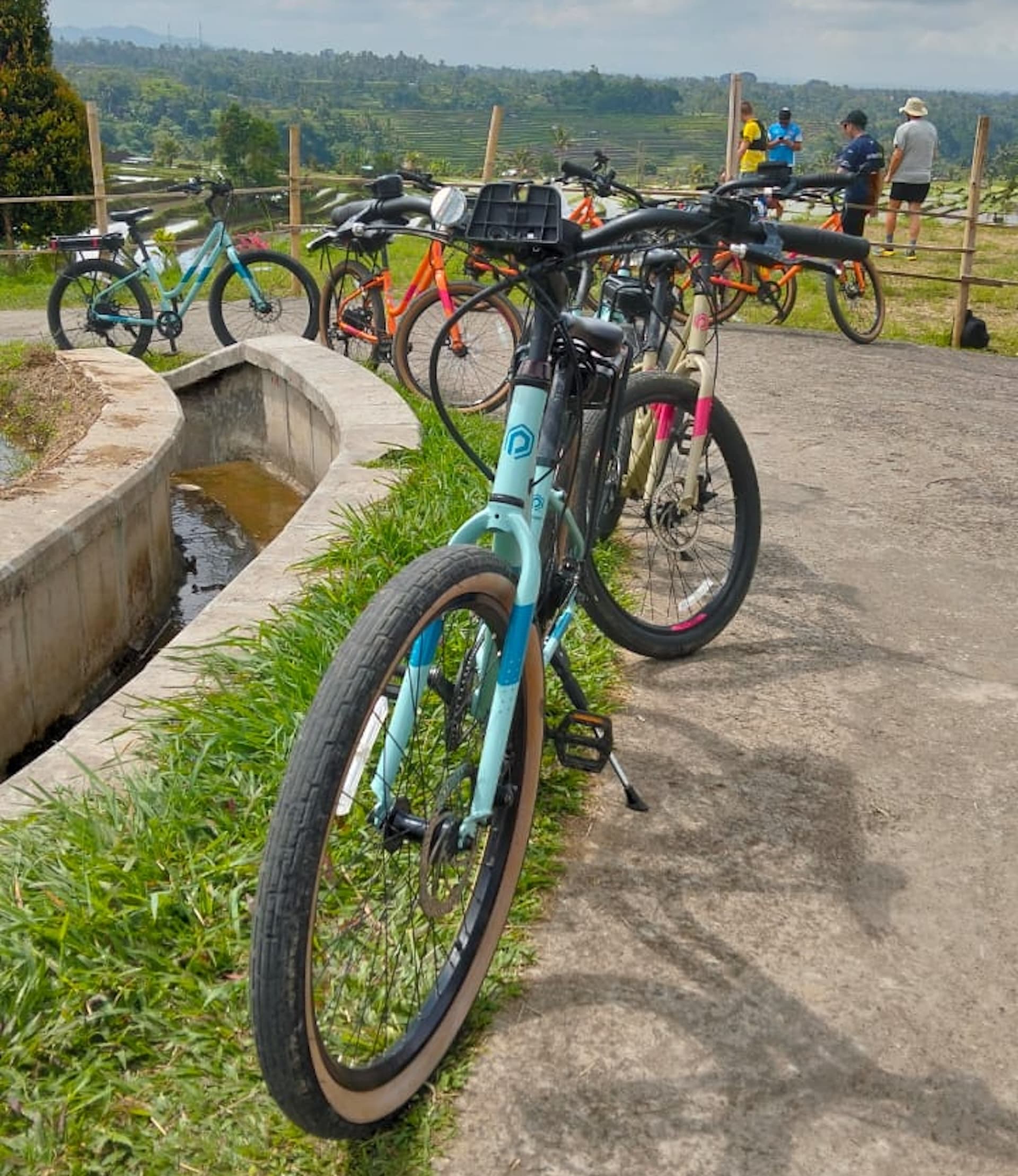 1-hour Jatiluwih eBike Discovery Guided Tour Bali