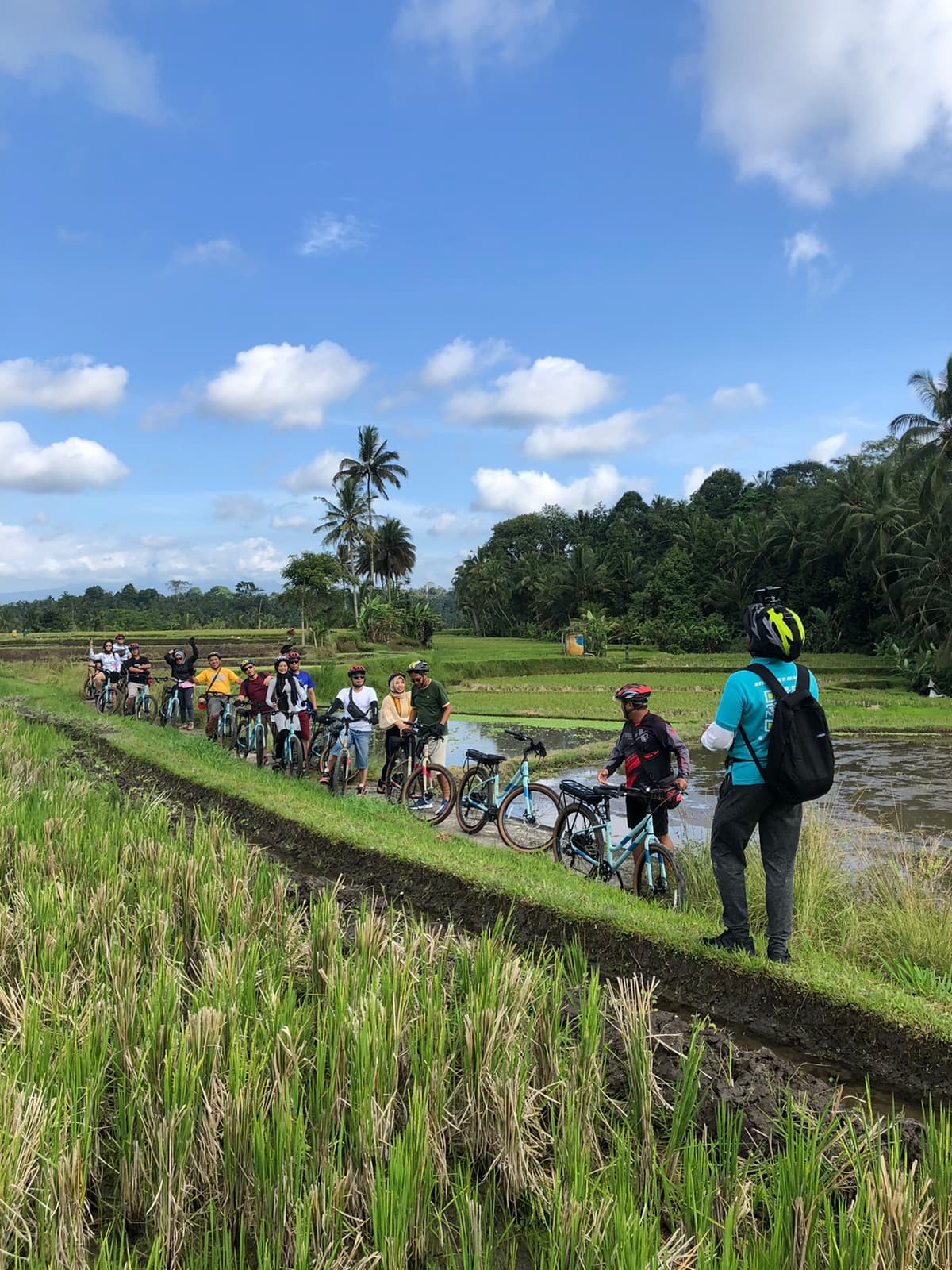 2-hour Jatiluwih eBike Eco-Cultural Guided Tour Bali