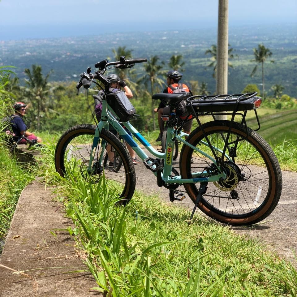 2-hour Jatiluwih eBike Eco-Cultural Guided Tour Bali