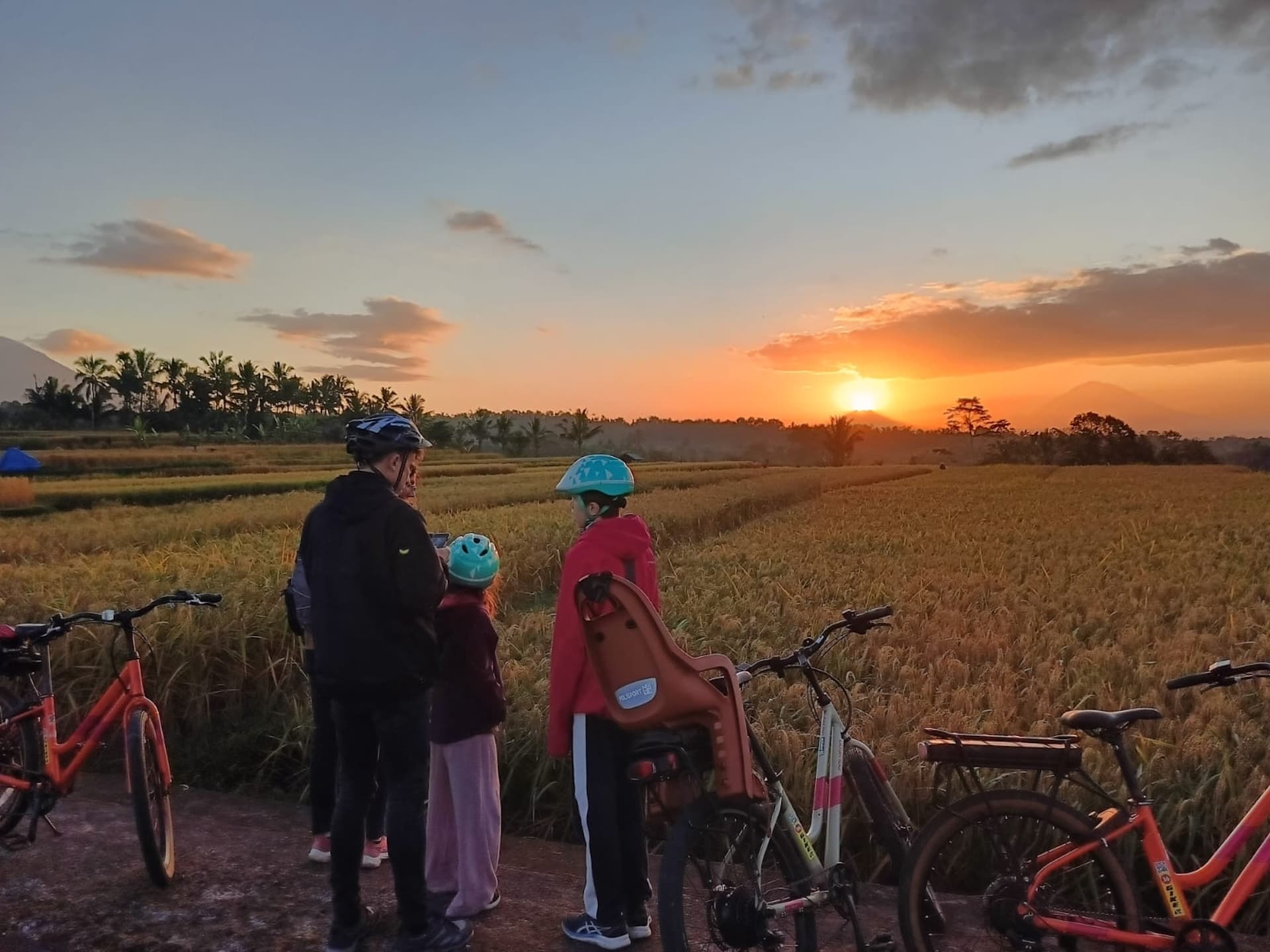 2-hour Jatiluwih eBike Eco-Cultural Guided Tour Bali