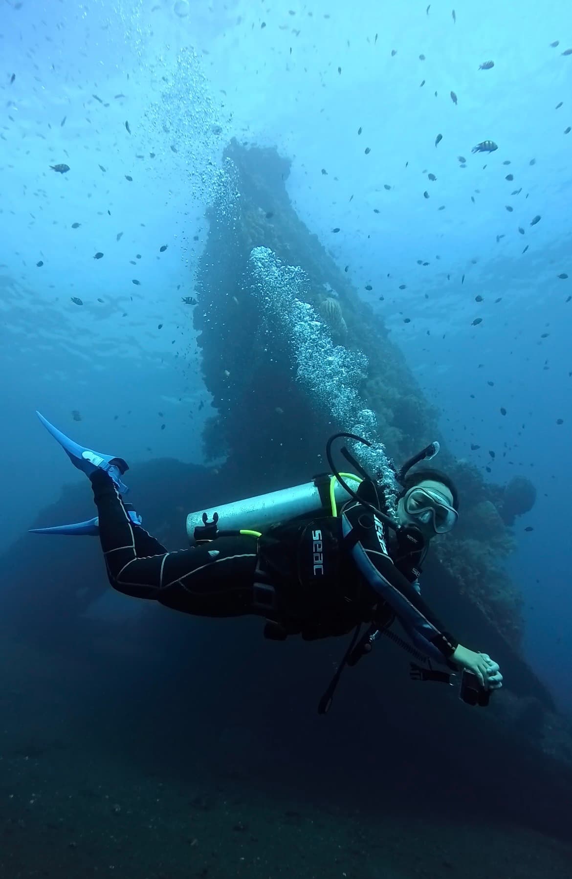 1 Day Scuba Diving Tulamben | USAT Liberty Shipwreck & Coral Garden
