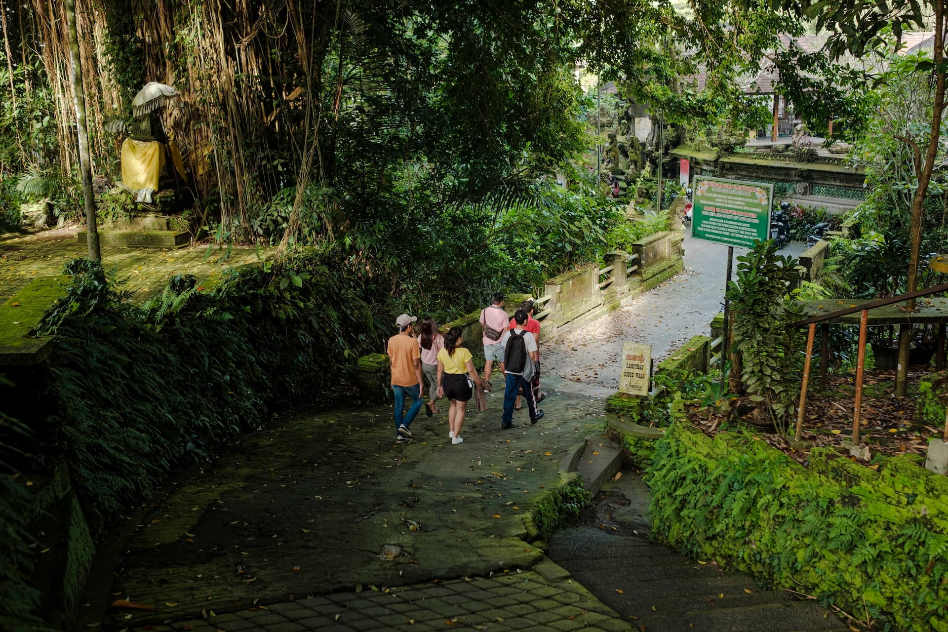 Ubud Half-day Walking Guided Tour: Temple, Palace, and Campuhan River