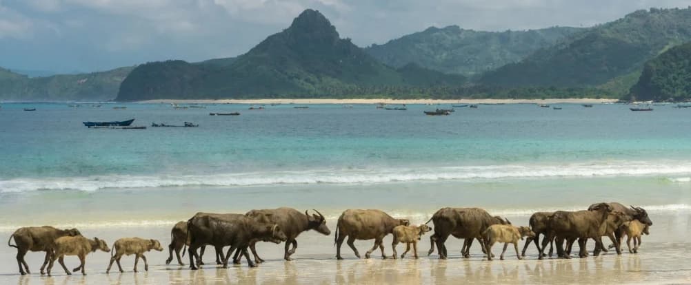 7 Days in Lombok 2026 — Classic Route