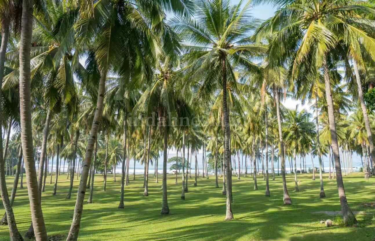 A Day at Senggigi, Lombok 2026