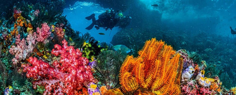 Labuan Bajo Deep Dive 2026 — Panduan Lengkap buat Kamu