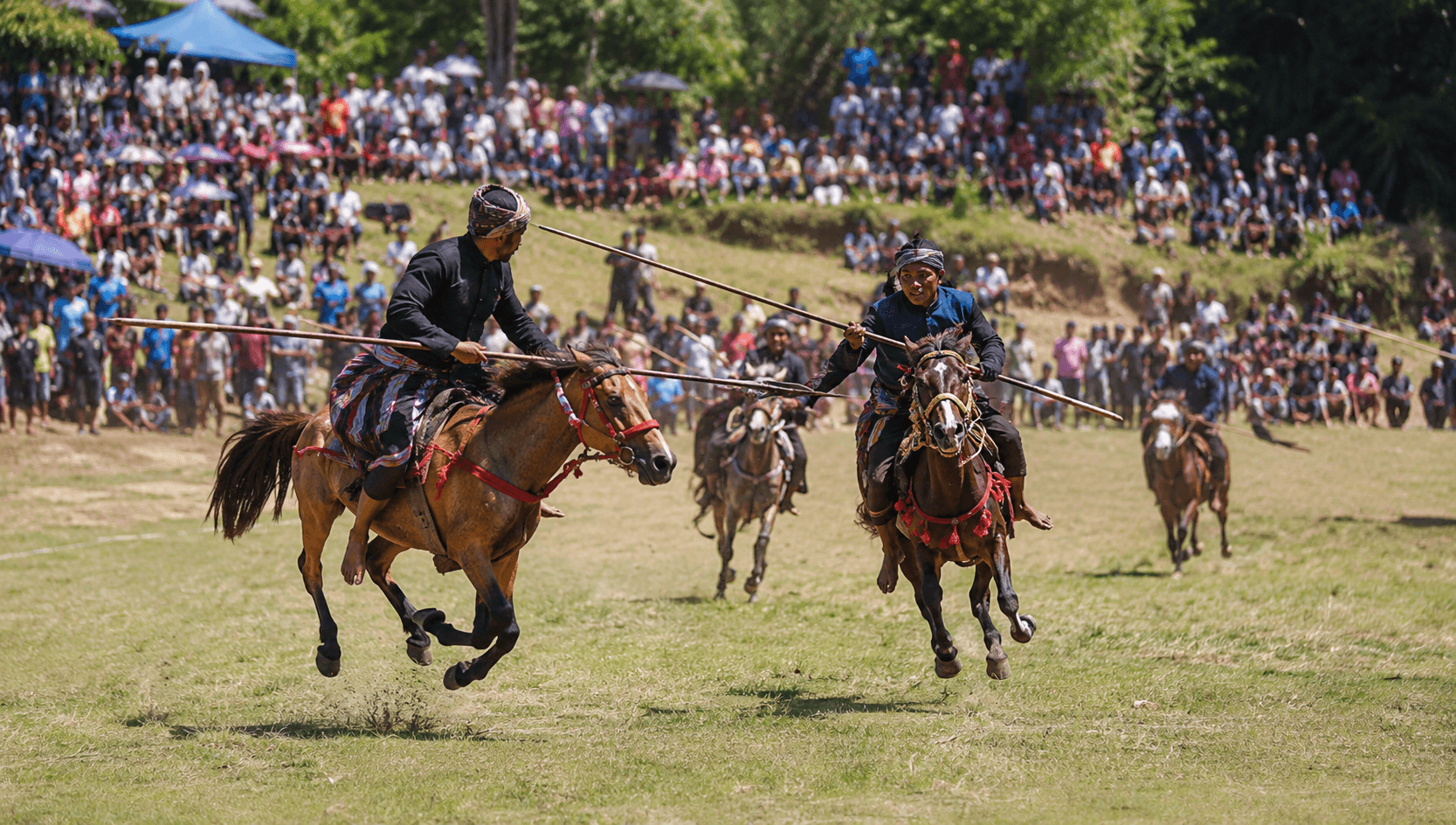 Pasola: Sumba's Horseback Spear Ritual and Its Prayer for the Harvest