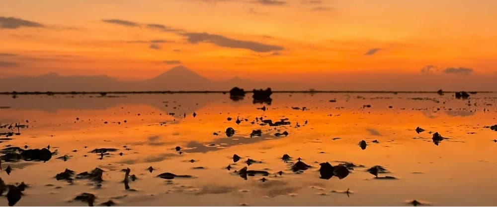 Senggigi in Lombok 2026: When, Where, How