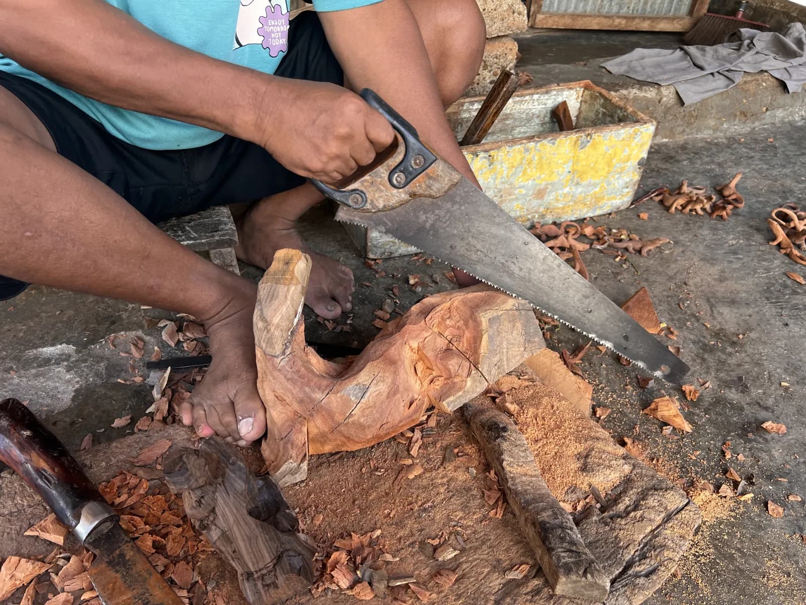 The first cuts