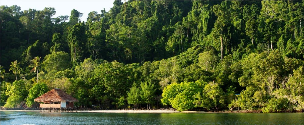 Raja Ampat Homestay & Snorkeling