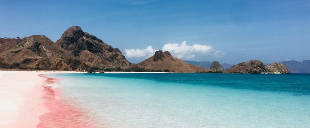 Komodo Day Trip: Padar, Pink Beach, Komodo & Manta Point