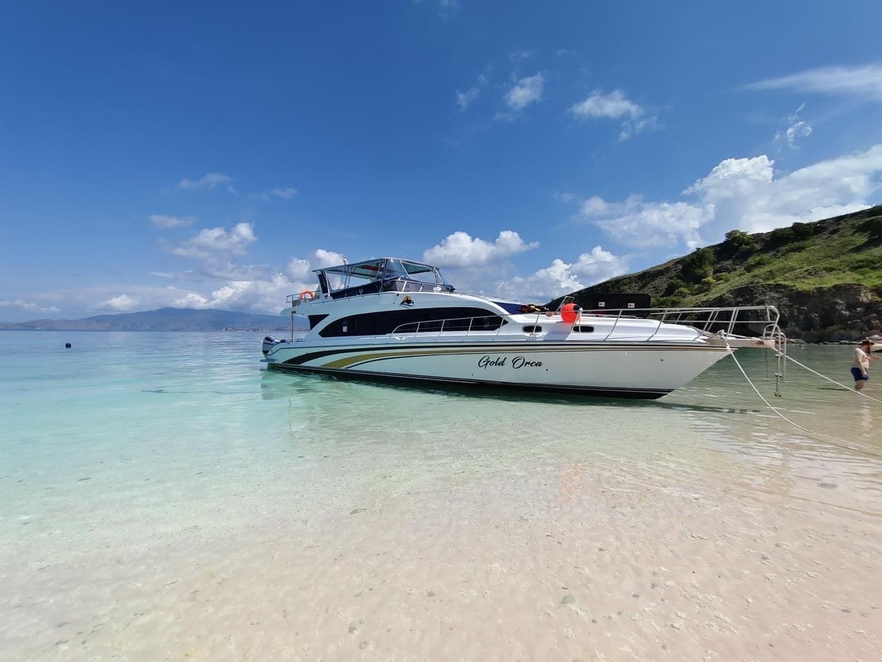 Komodo Speedboat Tour: 8 Top Destinations in One Day