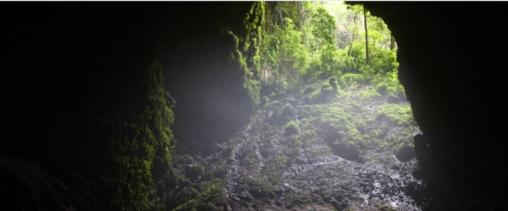 Jomblang Cave Adventure (Light of Heaven)