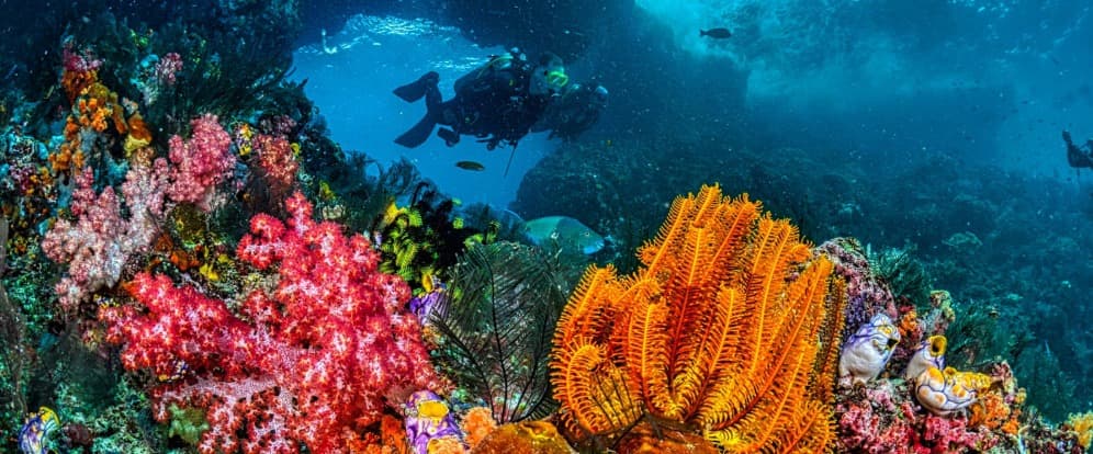 Tulamben USS Liberty Wreck Diving