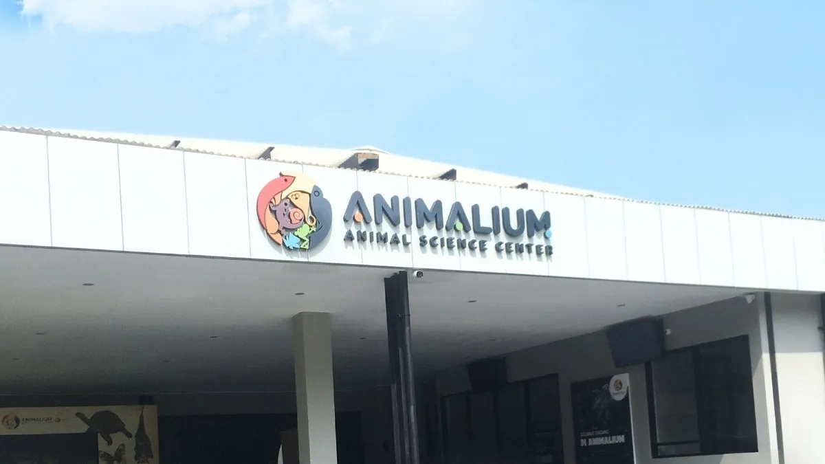 Wildlife Wonders: Animalium BRIN