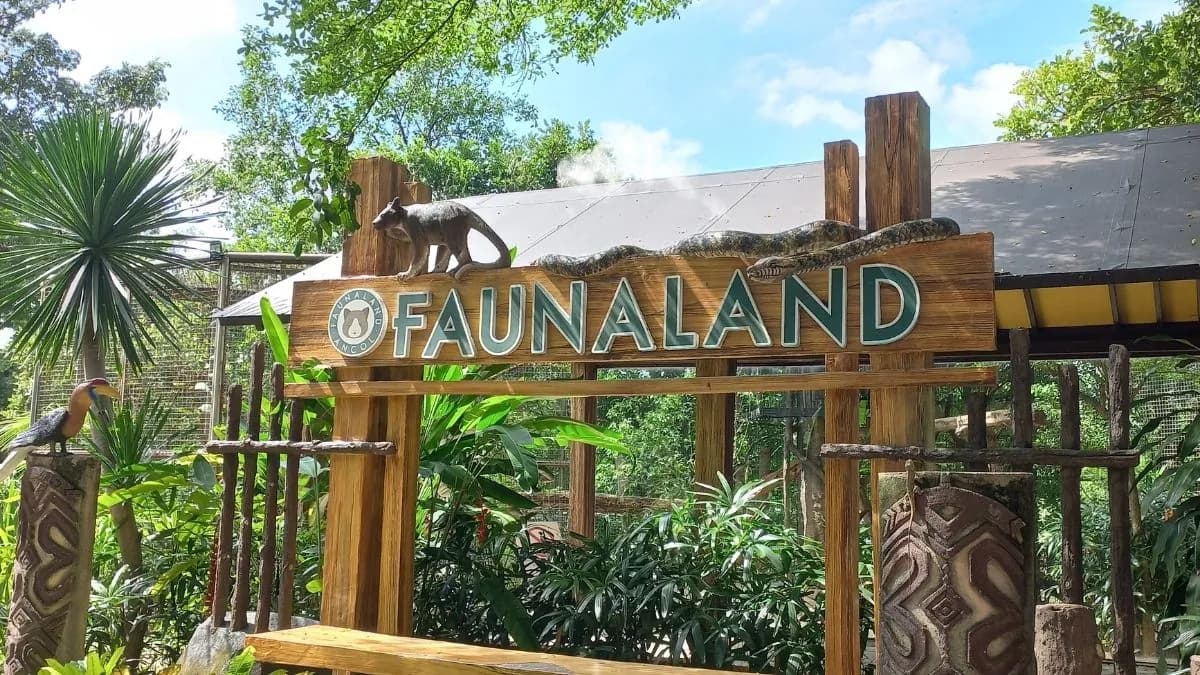 Wildlife Wonders: Faunaland Ancol