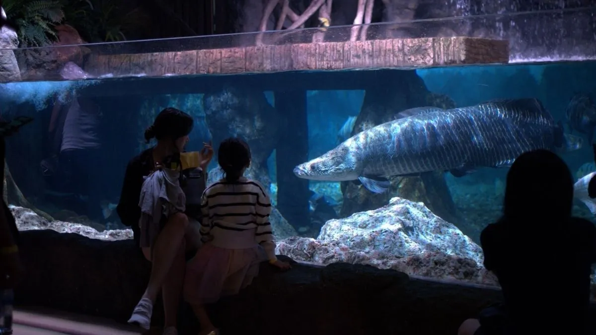 Wildlife Wonders: BX Sea