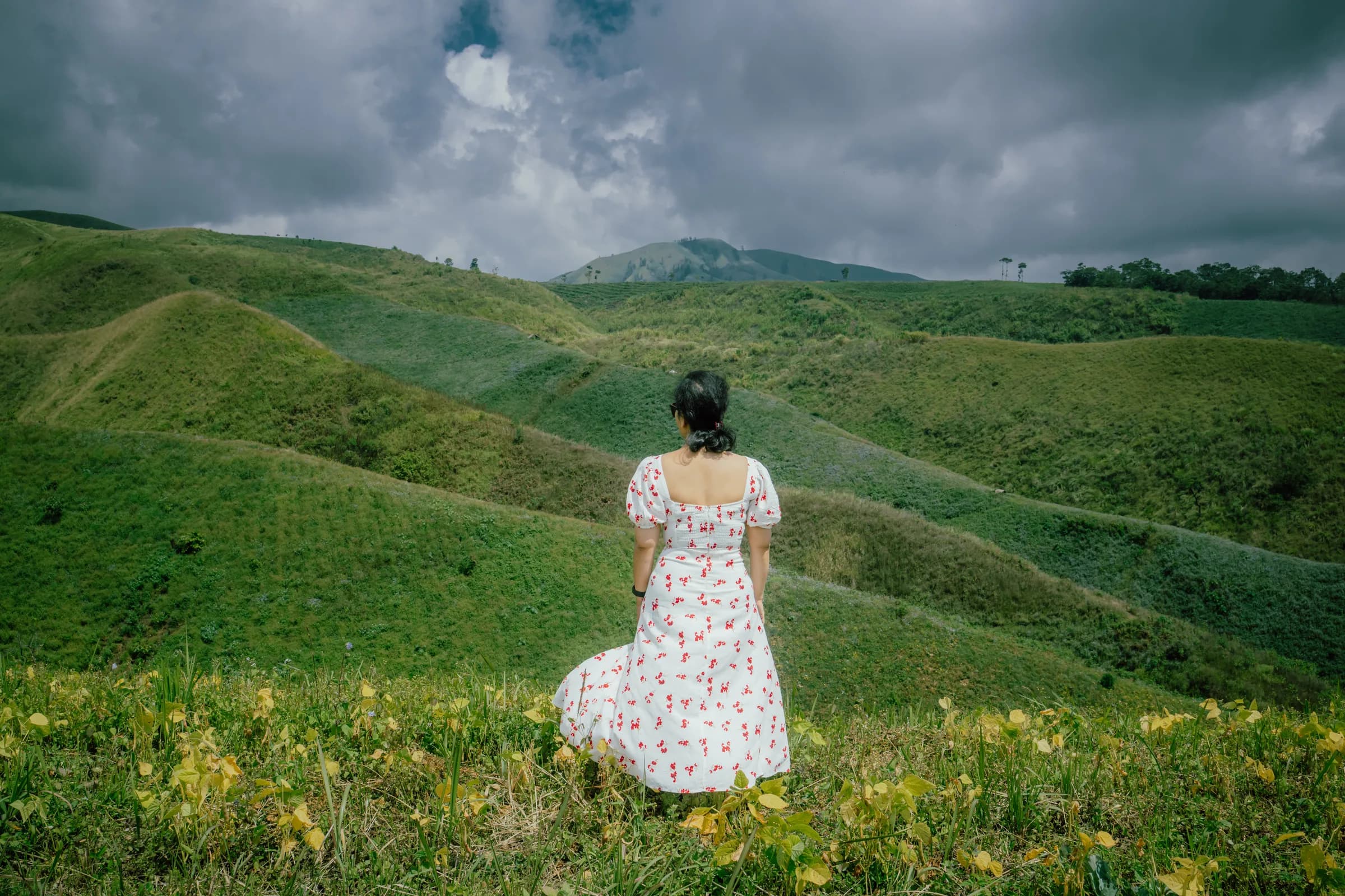 Rolling green hills and wildflowers at Taman Galuh