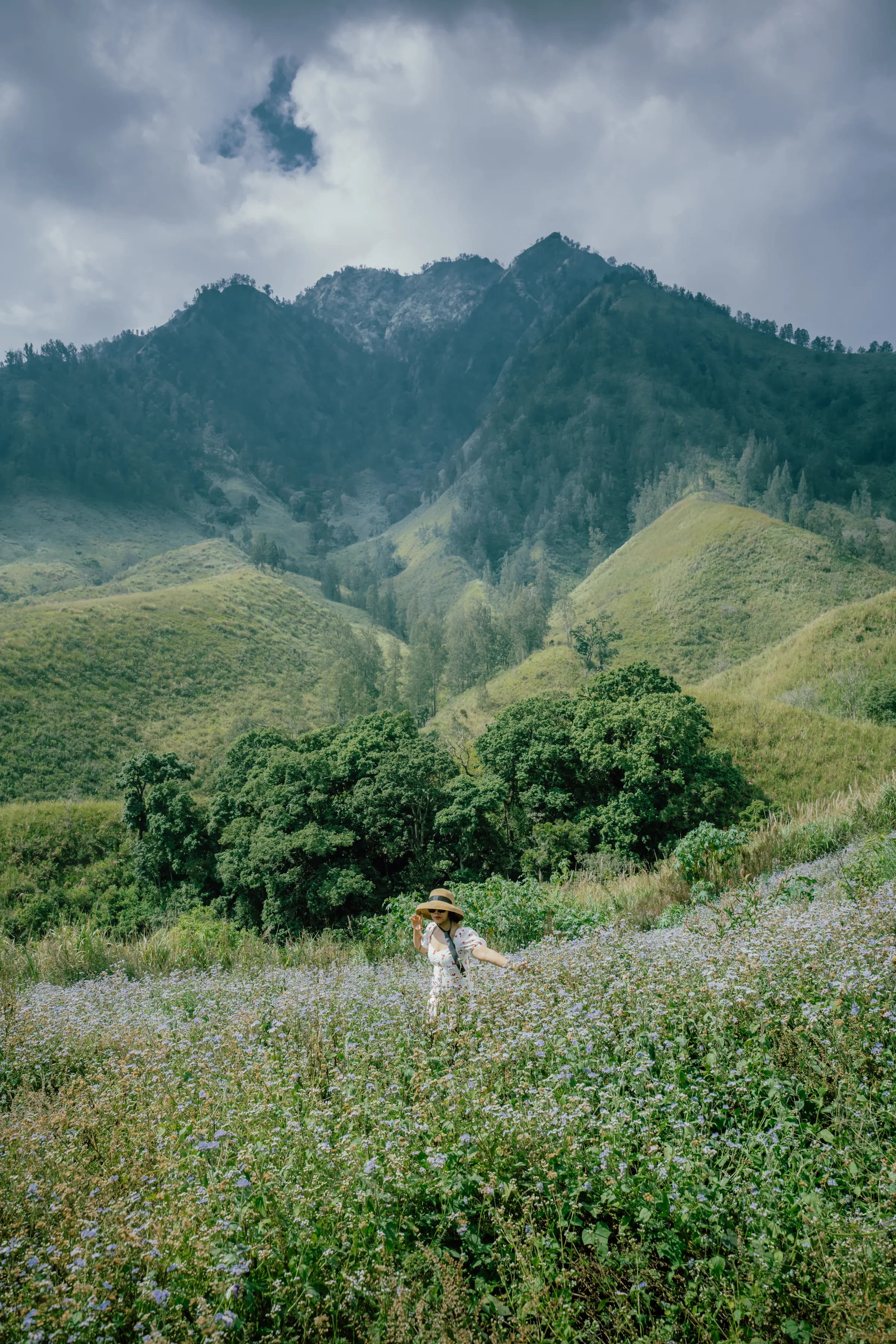 Flower fields beneath the peaks at Taman Galuh