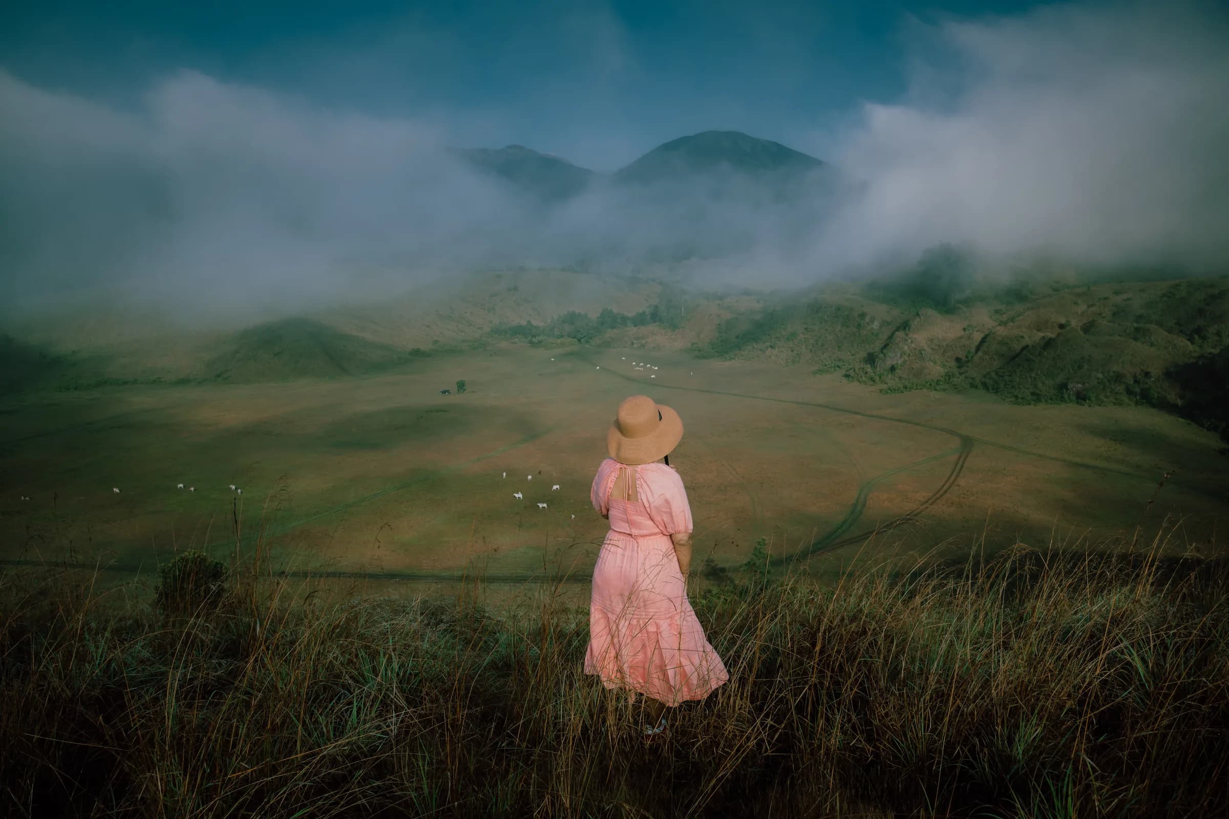 Misty rolling green hills of Kawah Wurung crater meadow