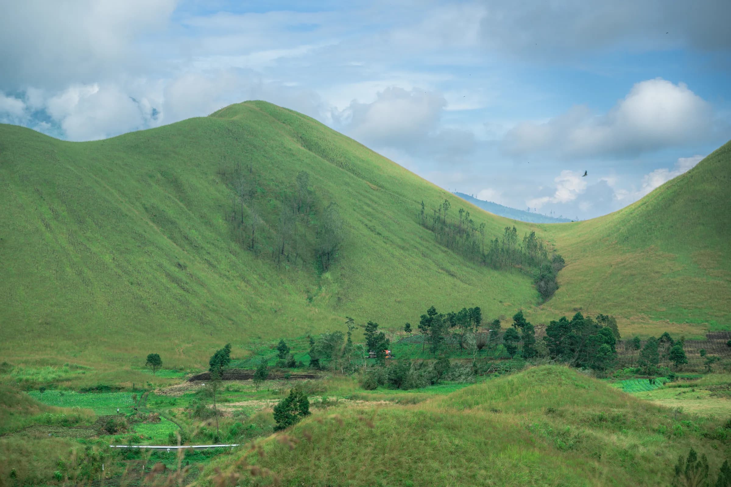 The emerald savanna hills of Kawah Wurung under a clouded sky
