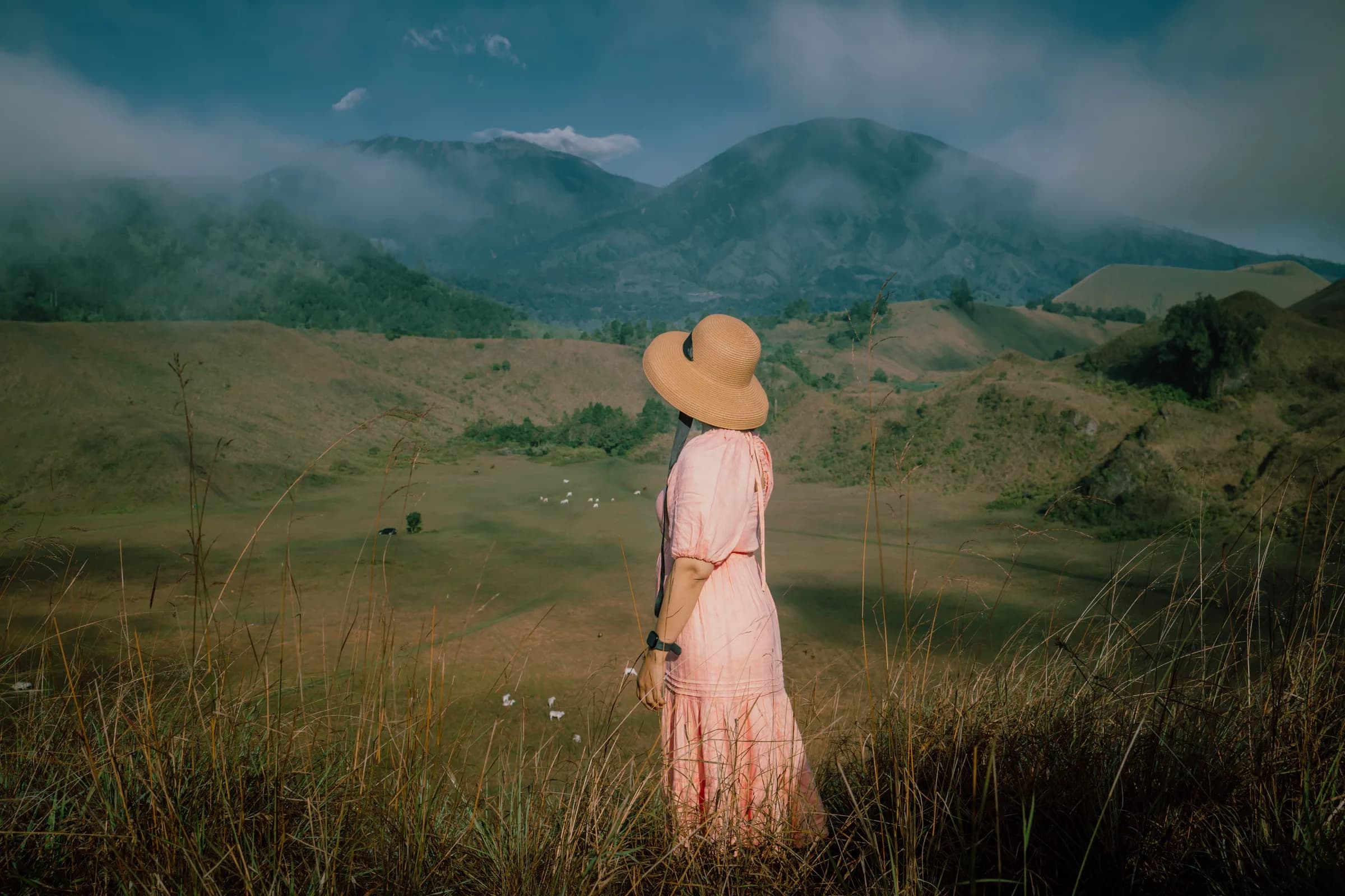 Open grassland of Kawah Wurung backed by misty mountains