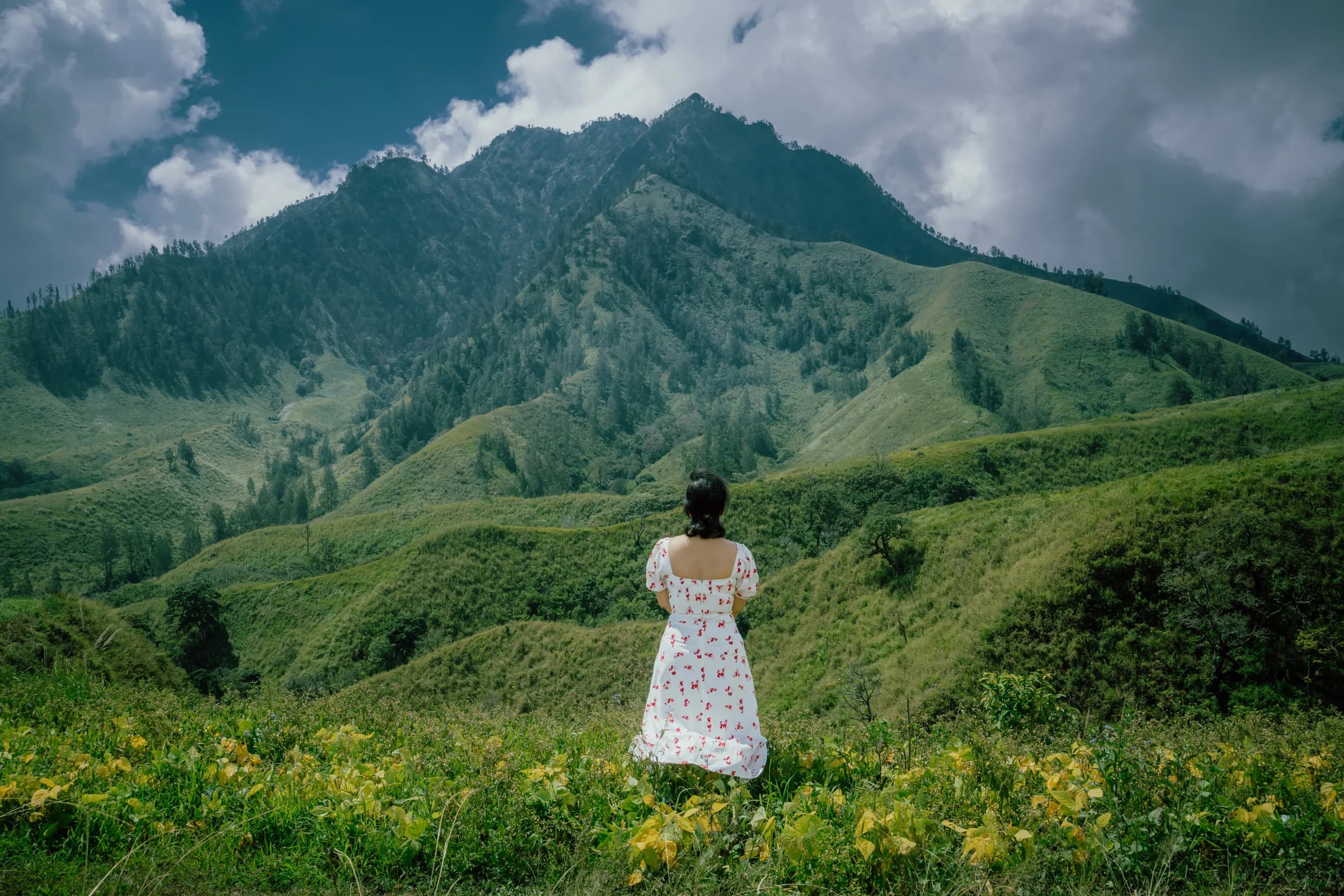 Wildflower meadow and mountains at Taman Galuh