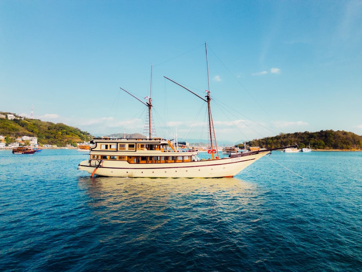 Aerial view of snorkelers swimming with a whale shark near Labuan Bajo